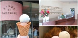 Birds of Paradise Gelato Boutique 00