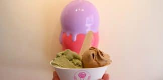 Gelato Garden – Gelato Café At Haji Lane With Freshly Churned Flavours