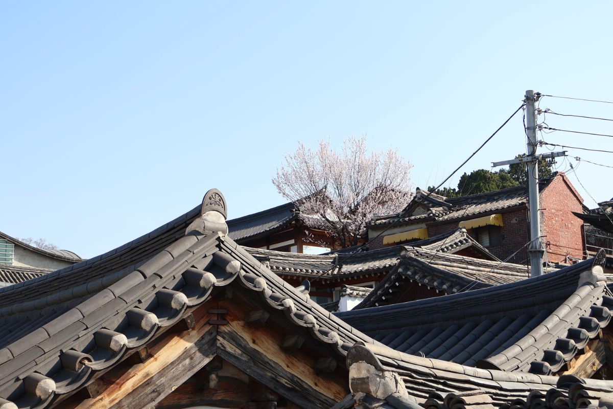Escape to Green Mile Coffee Bukchon: Coffee, Calm, and Hanok Vistas Await