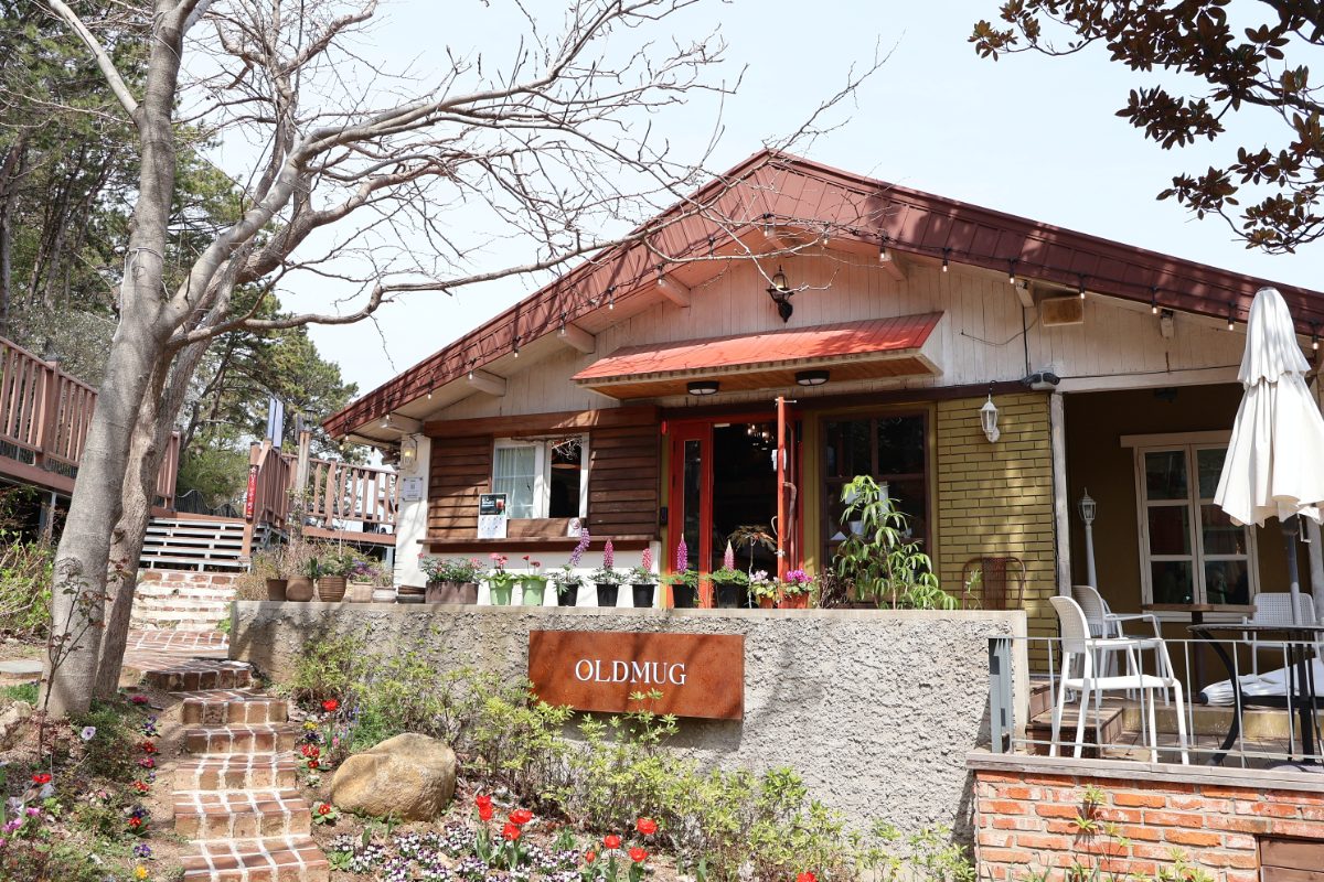 Oldmug Café Review: The Ultimate Seaside Retreat for Coffee and Pastry Lovers