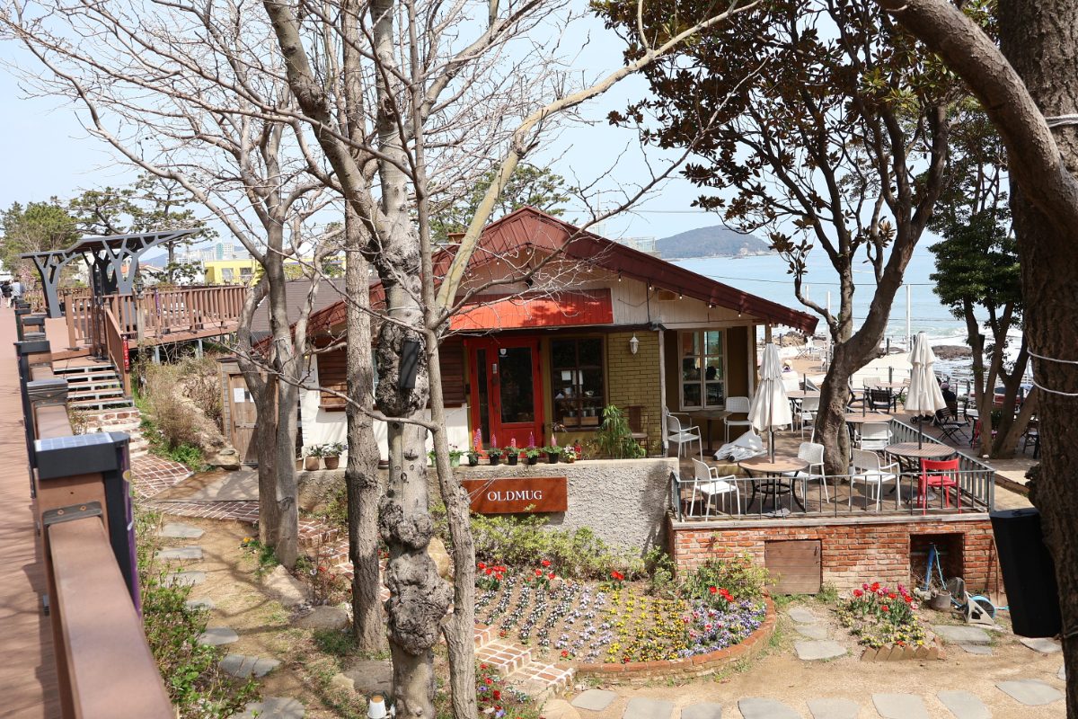 Oldmug Café in Songjeong: A Relaxing Spot for Coffee, Pastries, and Ocean Views