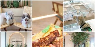 Plain Meredith - Pet-Friendly Brunch Café 00