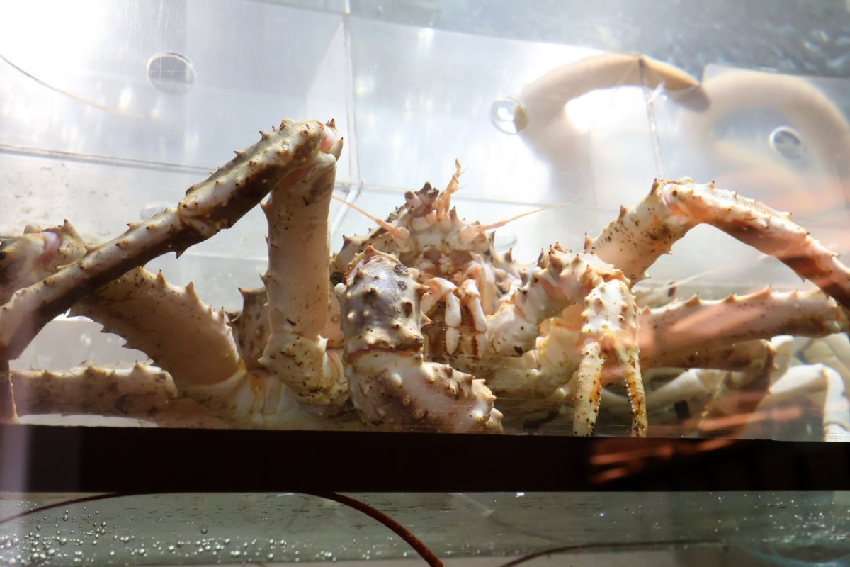 Seafood Paradise Singapore